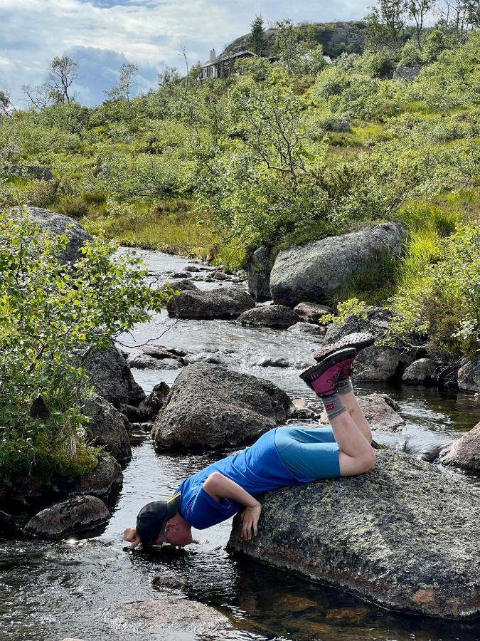 Flott Leilighet Pa Haugen I Sirdal Tjorhom Eksteriør billede